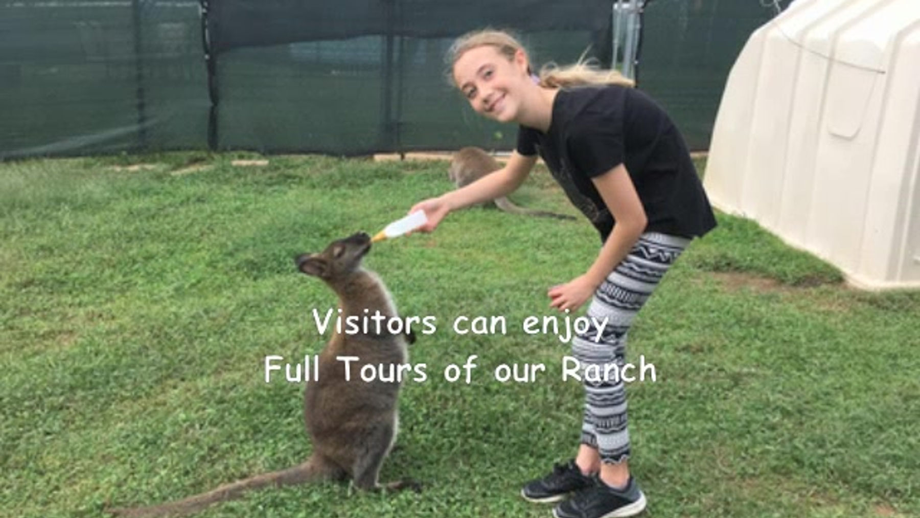 Welcome to Roos2u!